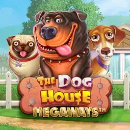 The Dog House Megaways gra w NV Casino dla graczy z Polski The Dog House Megaways gra w NV Casino dla graczy z Polski