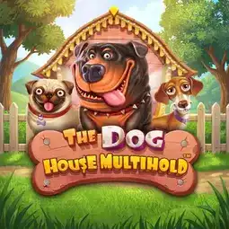 The Dog House Multihold gra w NV Casino dla graczy z Polski The Dog House Multihold gra w NV Casino dla graczy z Polski